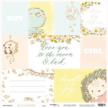 SM5500006 Лист бумаги 30*30 см Scrapmir Cards Boy or Girl