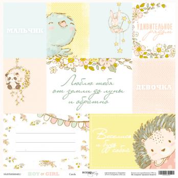 SM5500006RU Лист бумаги 30*30 см Scrapmir Карточки Boy or Girl