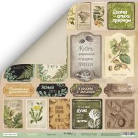 SM3700010RU Лист бумаги 30*30 см Scrapmir Карточки Cozy Forest