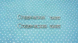 ДСШ-7-НДП-1 Студенческий билет 1  в наборе 2 надписи, размеры "студенческий" 6*1 см, "билет" 2,5*0,8 см