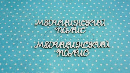 НДП-225 ДОК-11-НДП-2 Медицинский полис 2  в наборе 2 надписи размеры одной надписи 8*2см